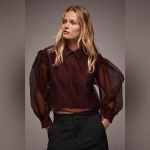 NWT ZARA Wine Limited Edition Organza Puff Sleeve Sweater Blouse 40% Wool Sz S